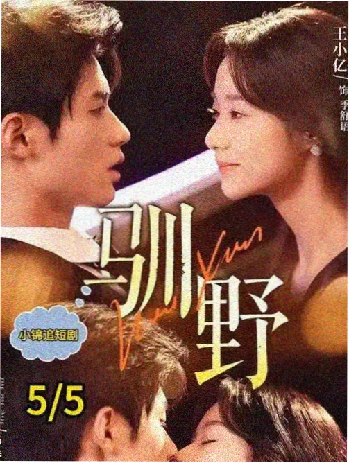春日诊所 电视剧热播榜